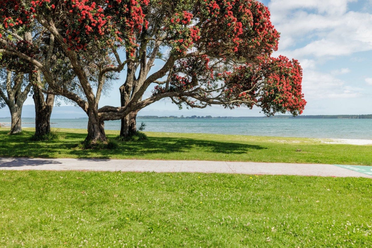 82 Kulim Avenue, Otumoetai, Tauranga - Carousel 27