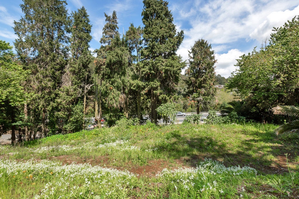 3 Kohatu Road, Kensington, Whangārei - Carousel 2