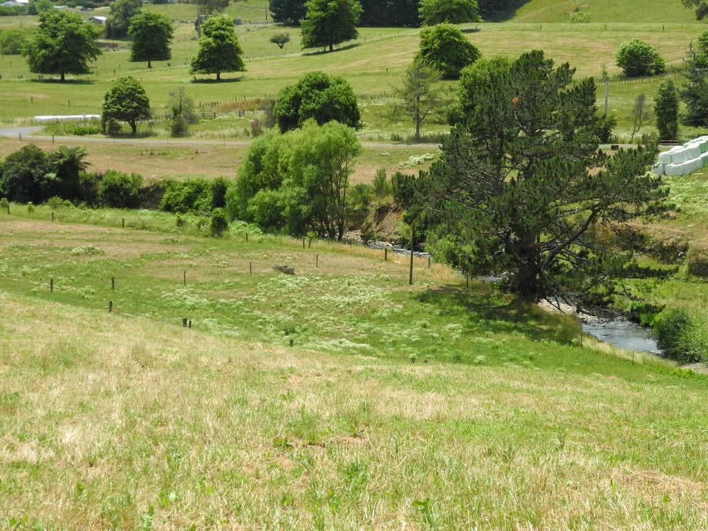 0 Hanning Road, Earnscleugh, Alexandra - Carousel 2