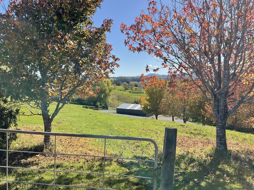 3 Holland Road, Springfield, Whangarei - Carousel 1