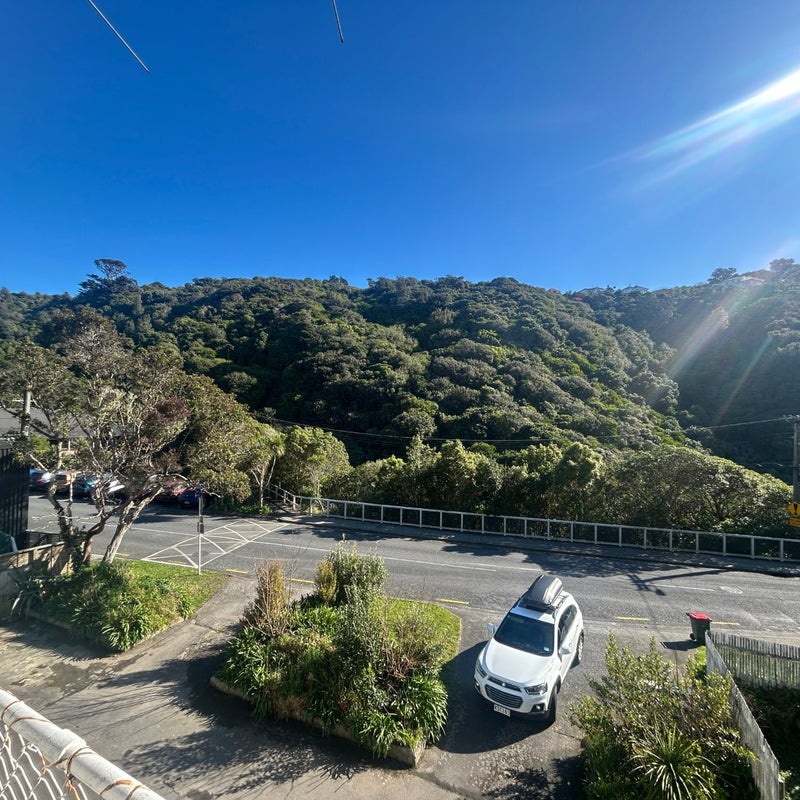 8/29 Waiapu Road, Kelburn, Wellington - Carousel 1