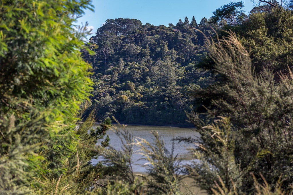 33//206 Manuka RD, Bayview, auckland - Carousel 2