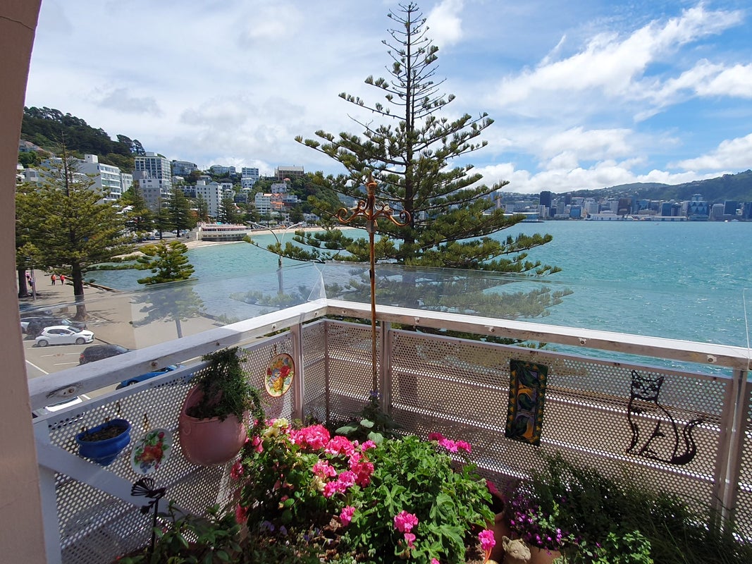 6/306 Oriental Pde, Oriental Bay, Wellington - Carousel 1