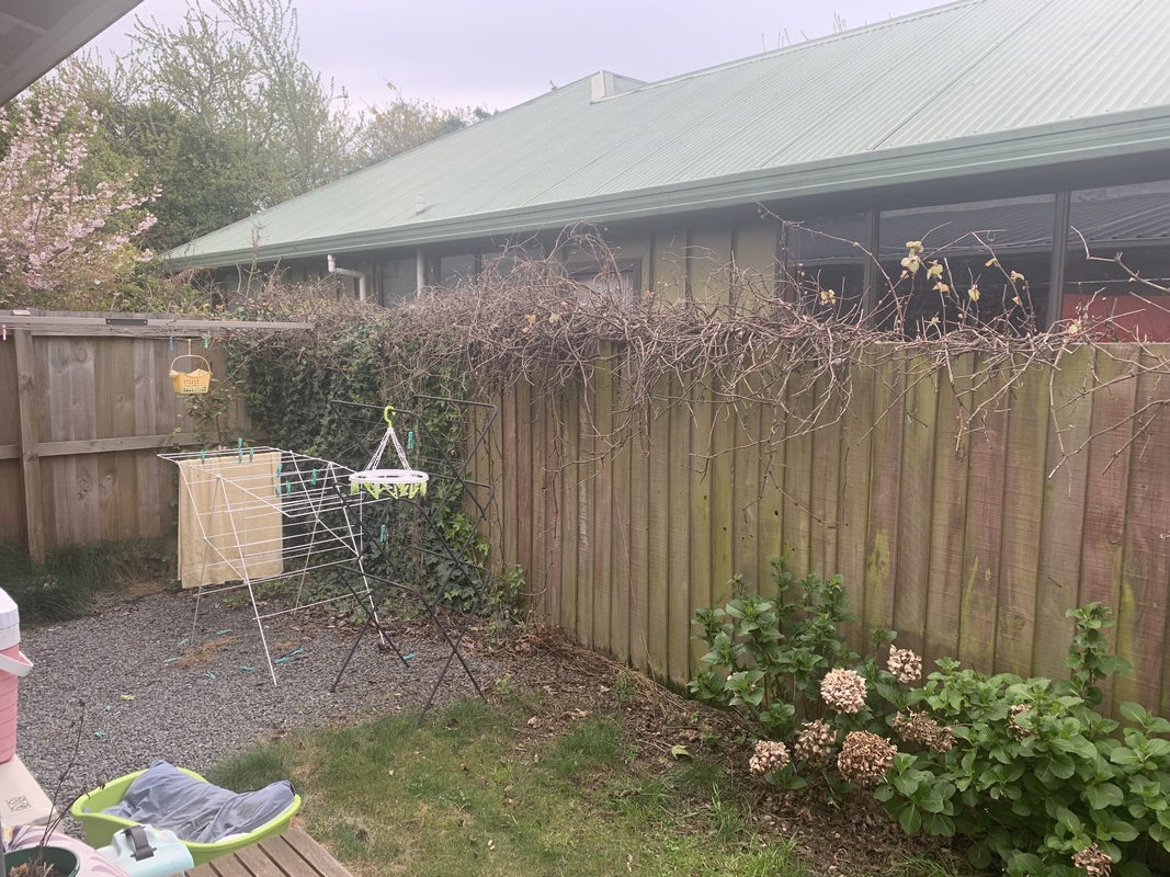 5/77 Geraldine Street, Edgeware, Christchurch - Carousel 11