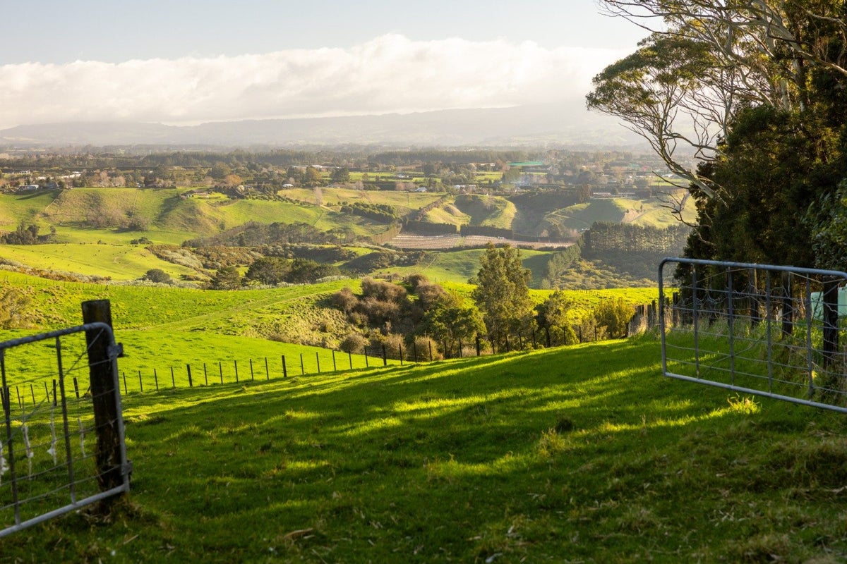 956 Upper Ohauiti Road, Ohauiti, Tauranga - Carousel 2