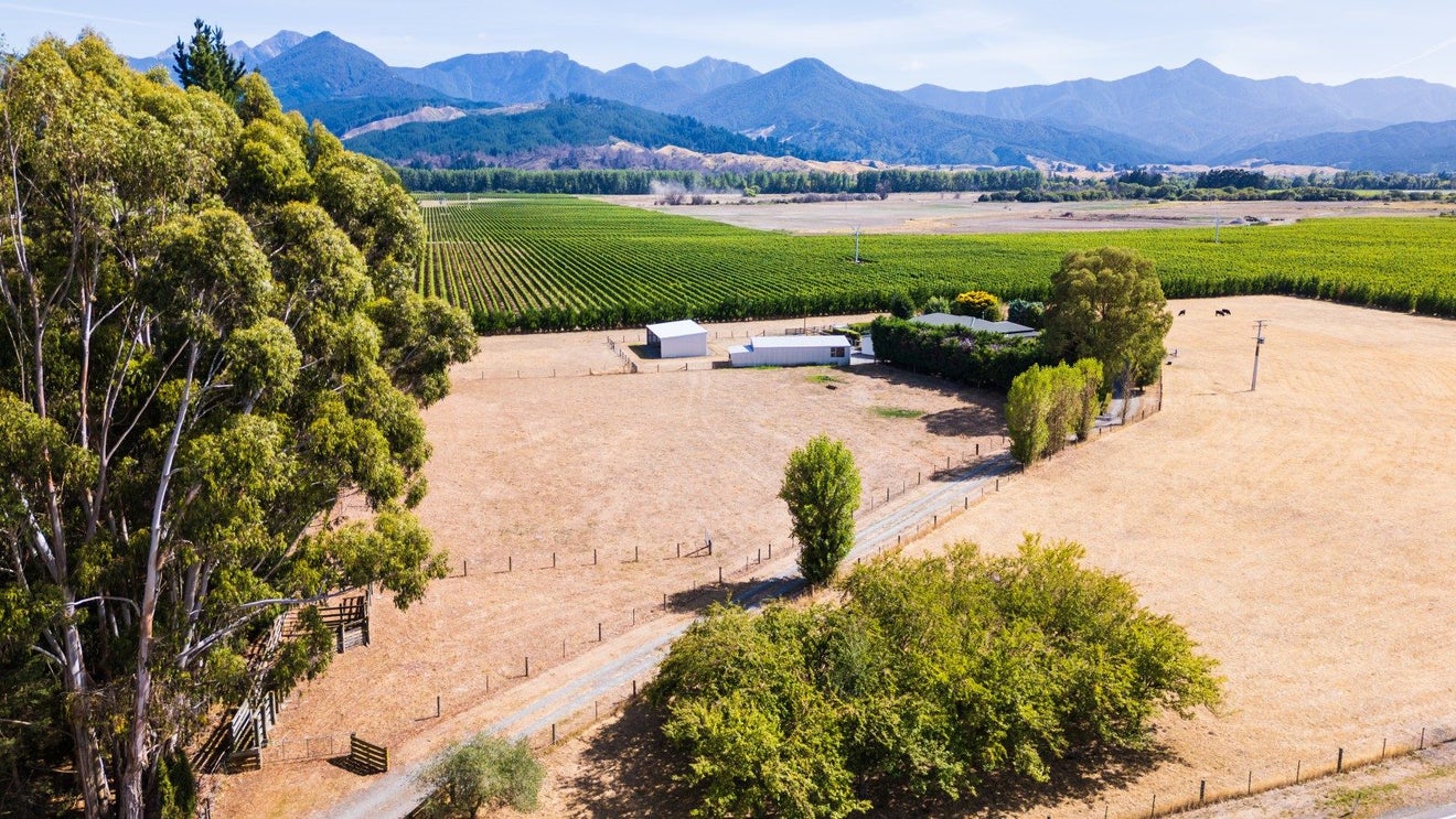 2376 State Highway 63, Blenheim - Carousel 2