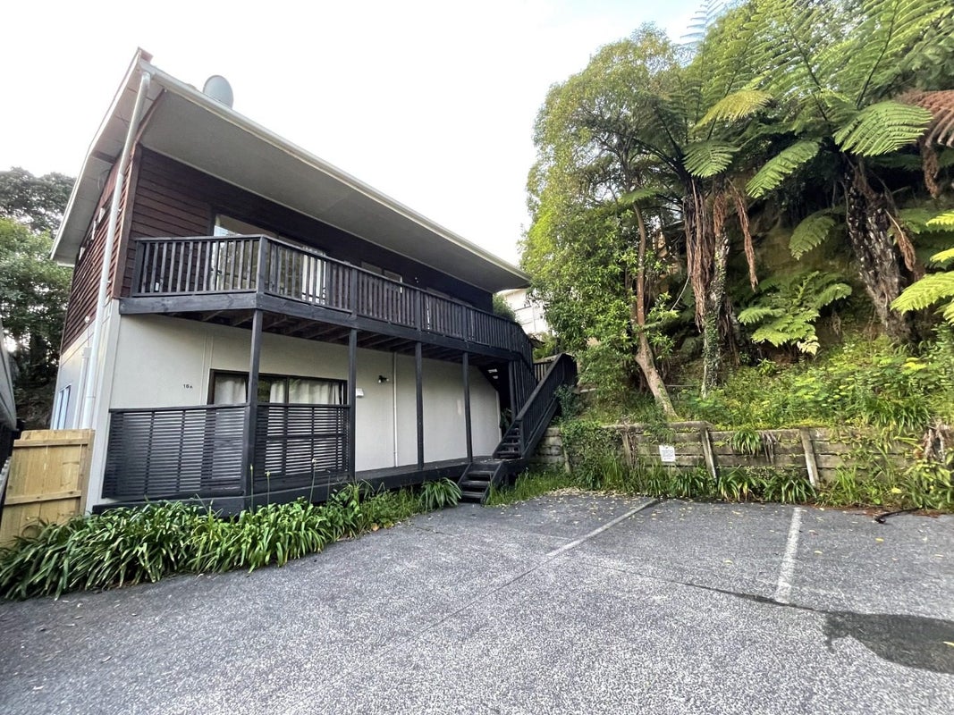 16A Shirley Road, Grey Lynn, Auckland - Carousel 2