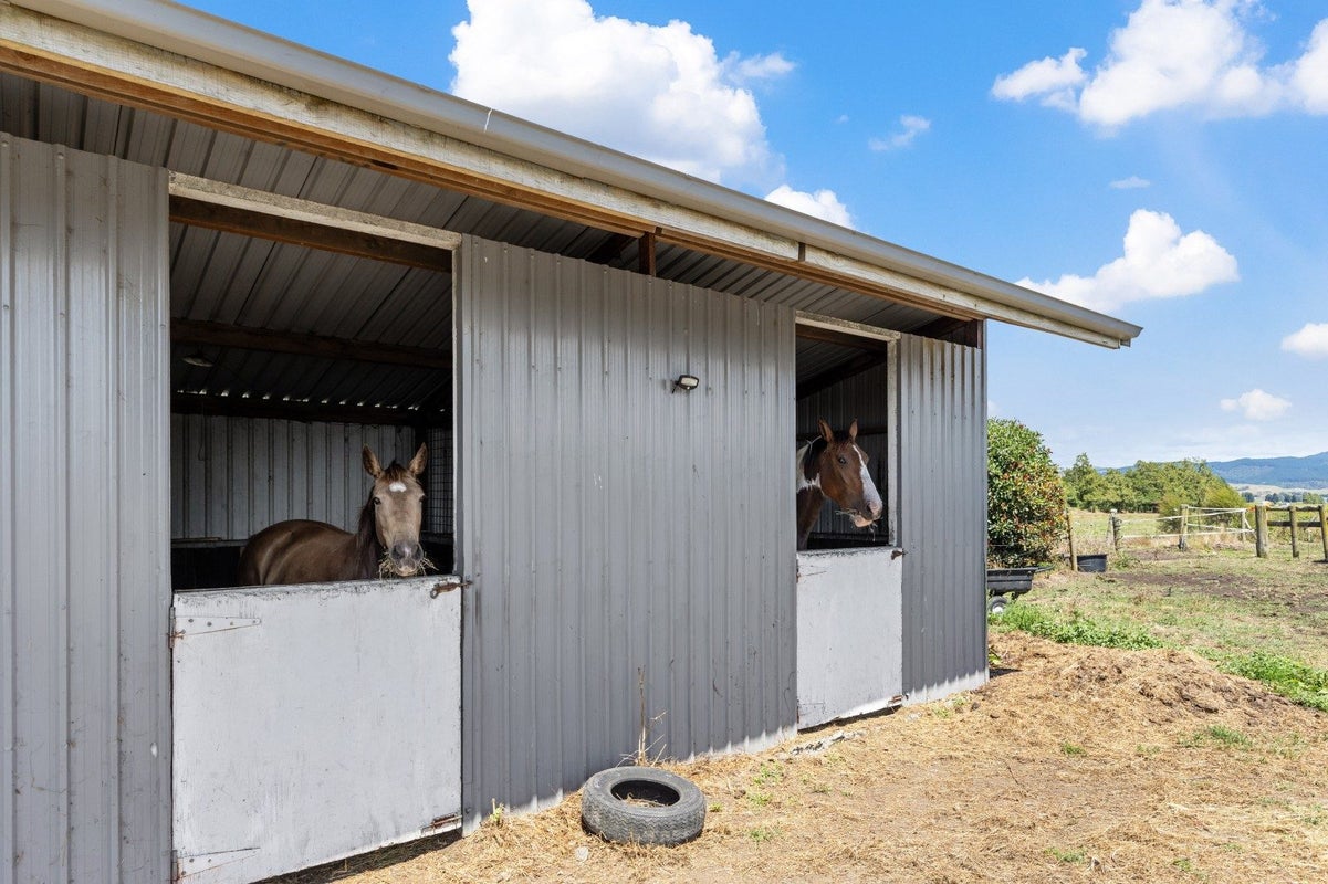 268 Tramline Road, Morrinsville - Carousel 2