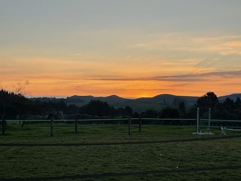 928C No 2 Road, Te Ranga, Te Puke - Carousel 2