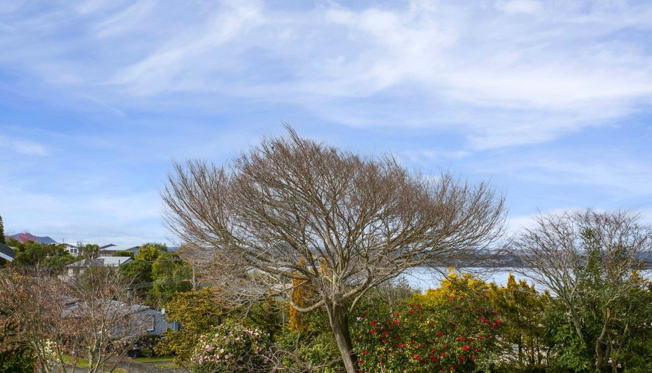 744 Acacia Bay Rd, Acacia Bay, Taupo - Carousel 37