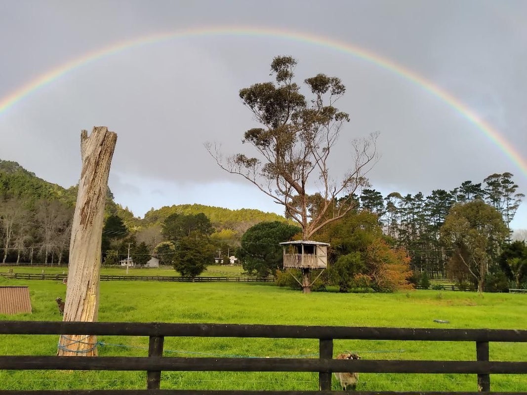 189 Omaha Valley Road, Warkworth - Carousel 9