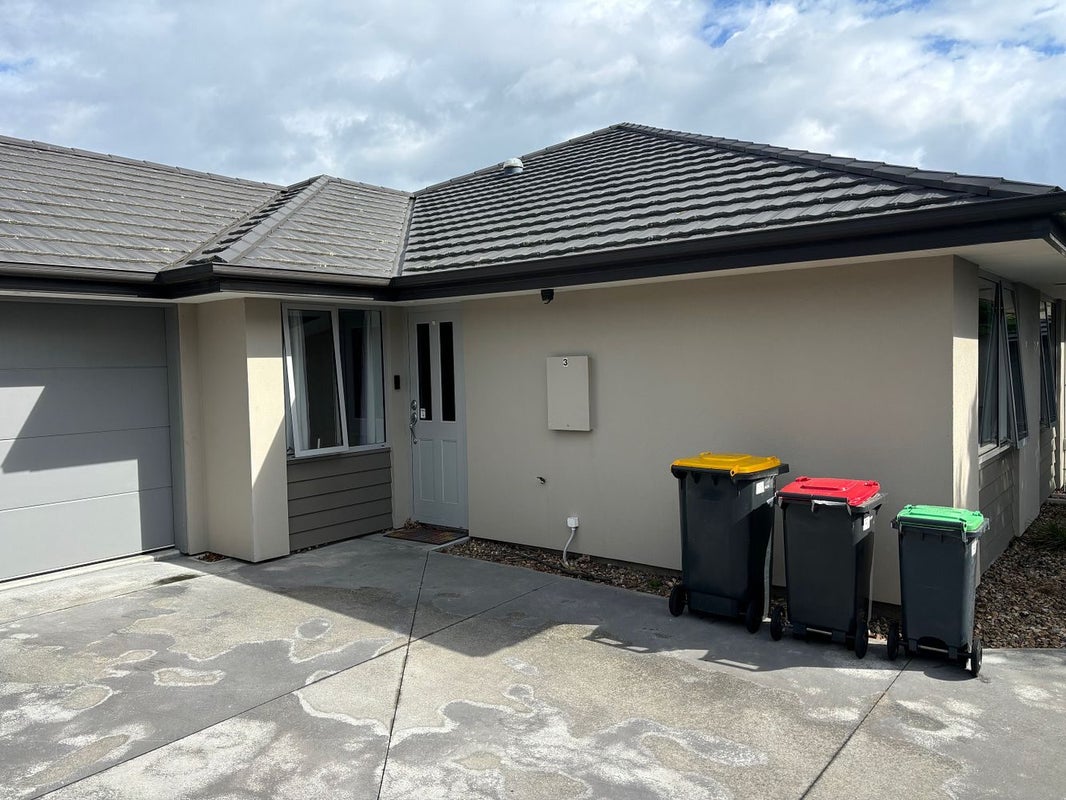 3/15 Cross Street, Phillipstown, Christchurch - Carousel 1