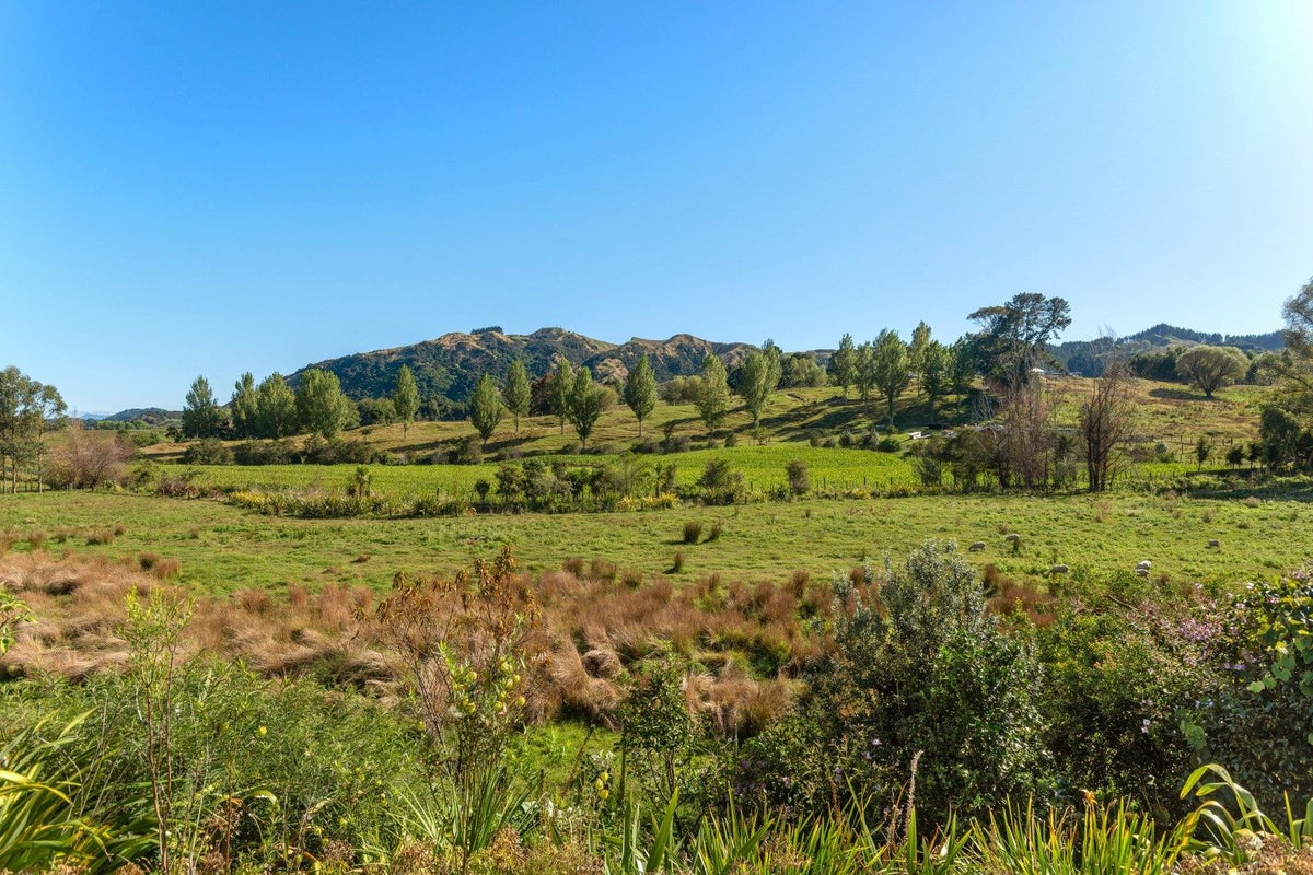 110 MacLaurin Road, Makauri, Gisborne - Carousel 30