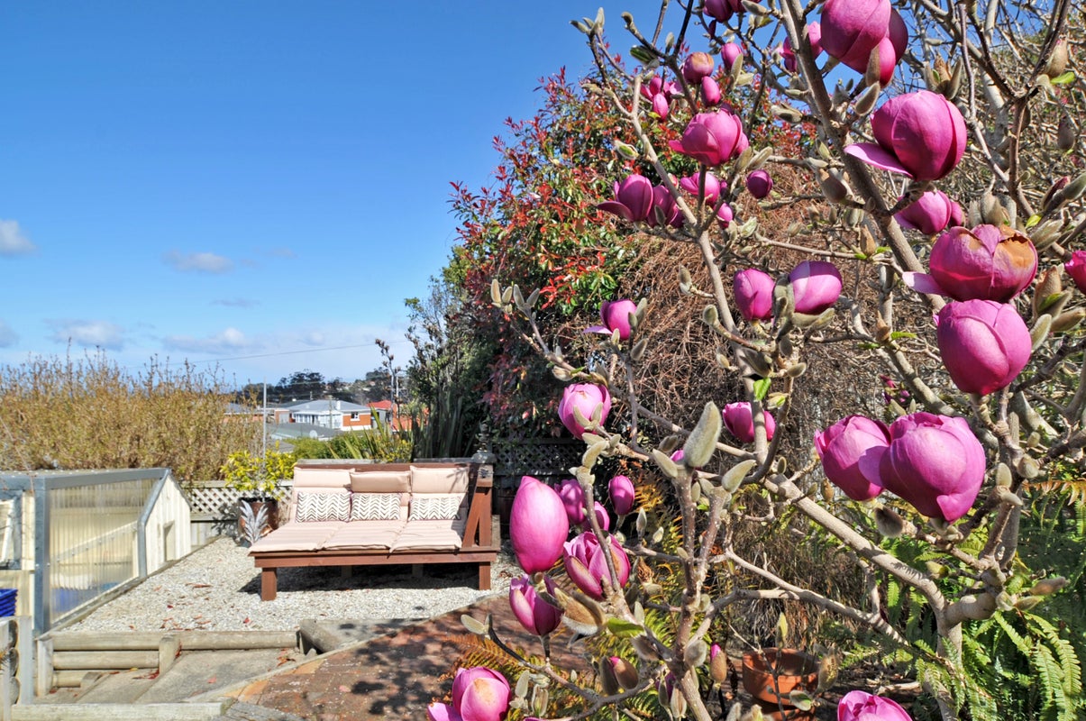 58 Stephen Street, Halfway Bush, Dunedin - Carousel 20