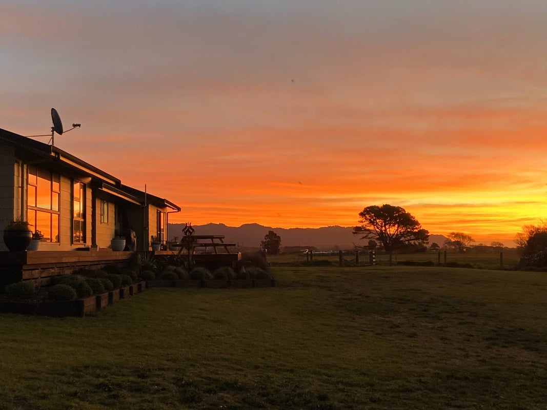 1164 Thornton Road, Matata, Whakatane - Carousel 36