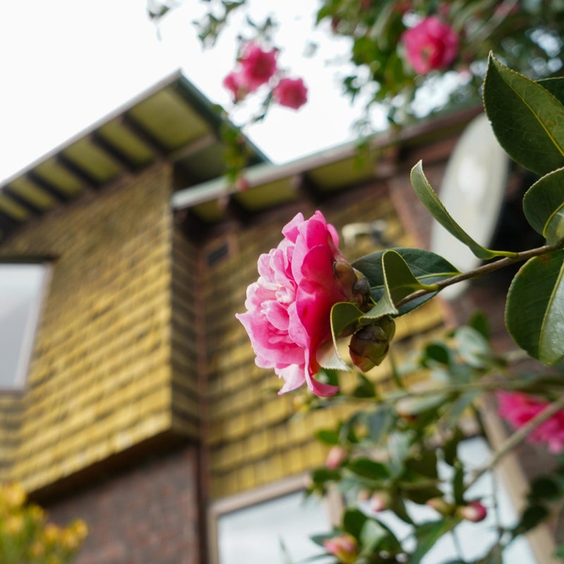 31 Marlowe Drive, Leamington, Cambridge - Carousel 22