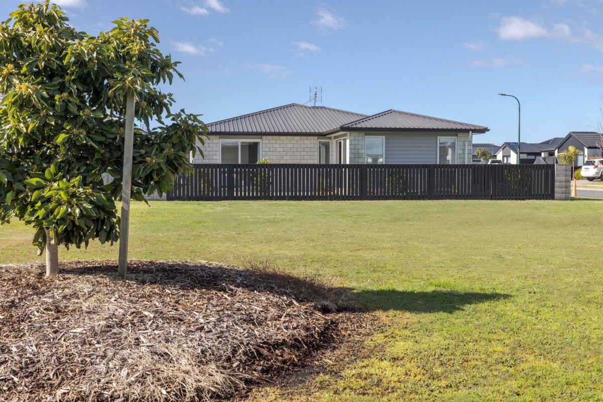 45 Union Drive, Papamoa - Carousel 1