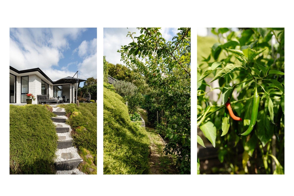 83 Adler Drive, Ohauiti, Tauranga - Carousel 15