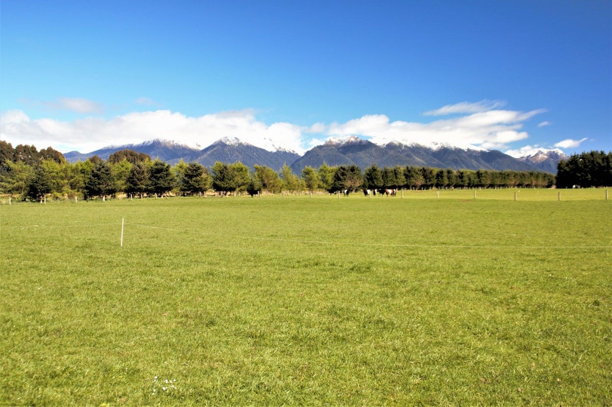 0 Matapouri Road, Matapouri, Whangarei - Carousel 16
