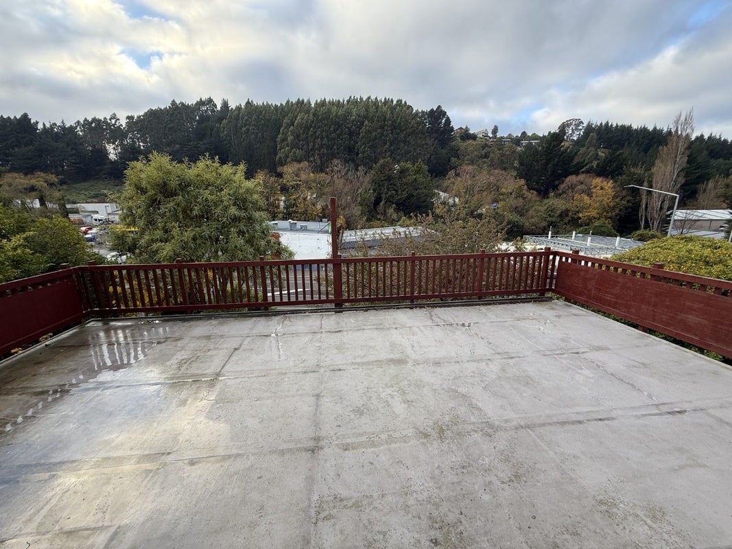 20 Manchester Street, Bradford, Dunedin - Carousel 11