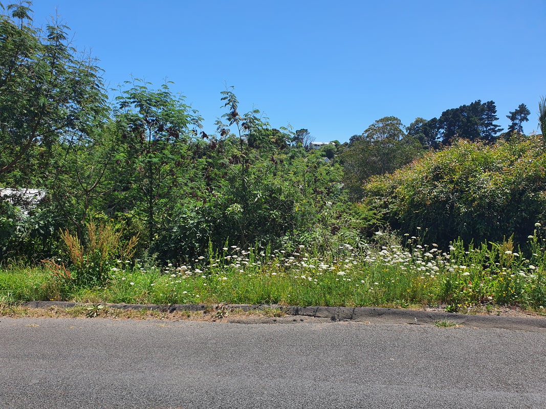 31 Trig Hill Road, Onetangi, Waiheke Island - Carousel 1