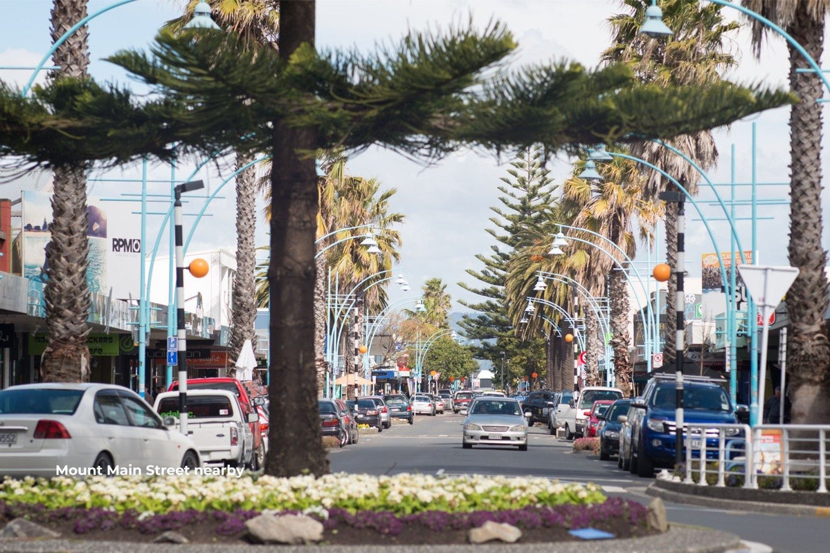 9 Grove Avenue, Mount Maunganui, Mount Maunganui - Carousel 20
