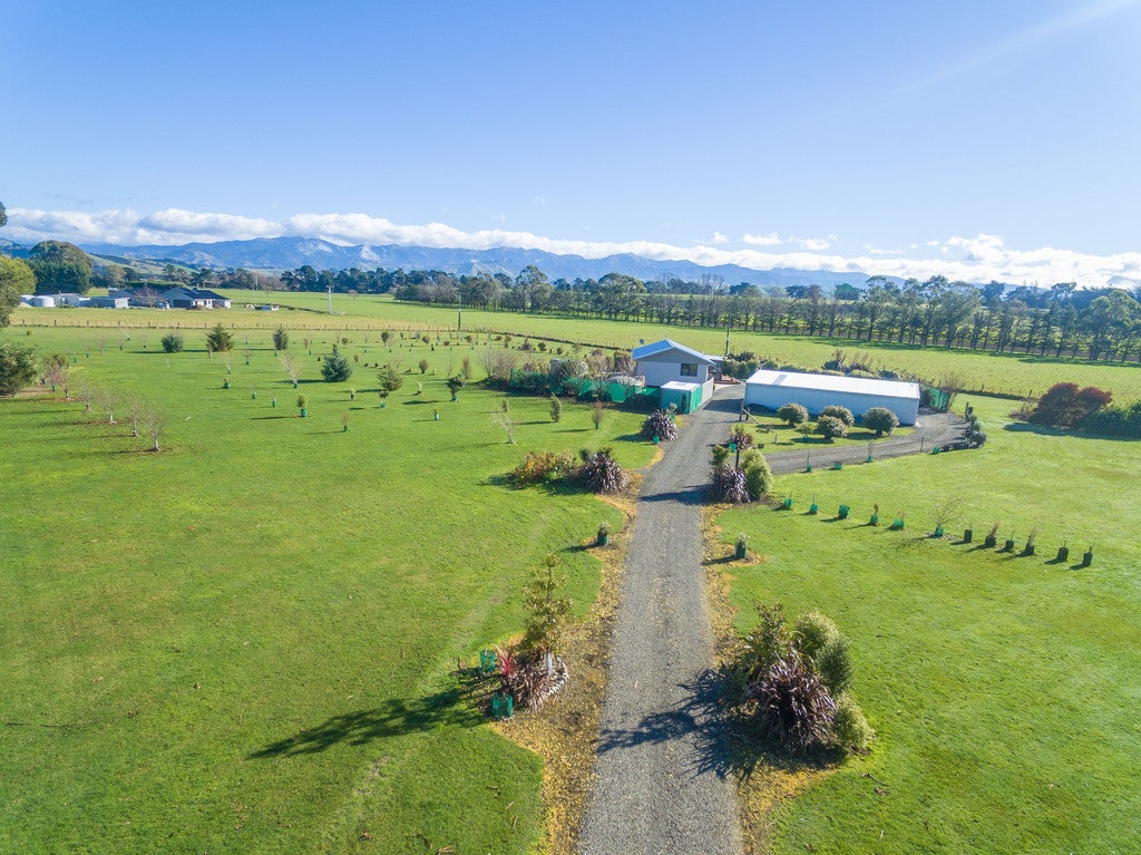 110 LOOP LINE, Opaki, Masterton - Carousel 2