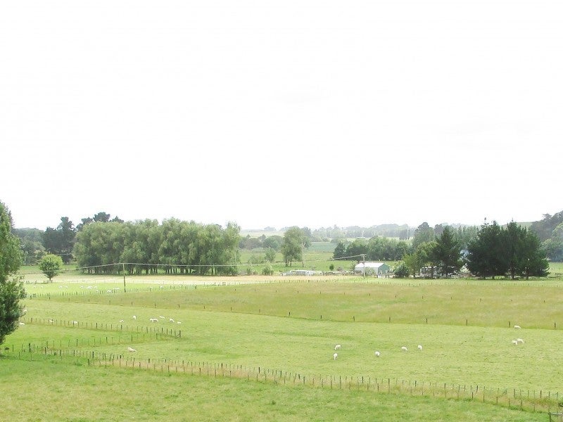 29 Wallace Road, Koputaroa, Levin - Carousel 2