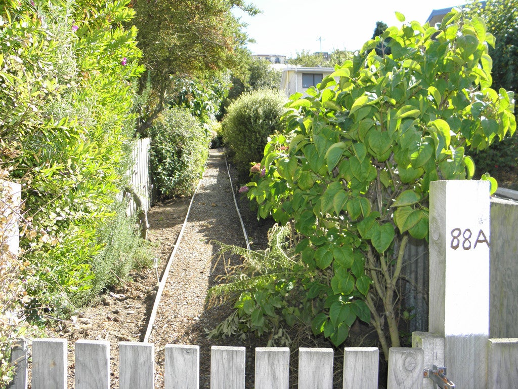 88A Reed Street, Oamaru, Oamaru - Carousel 21