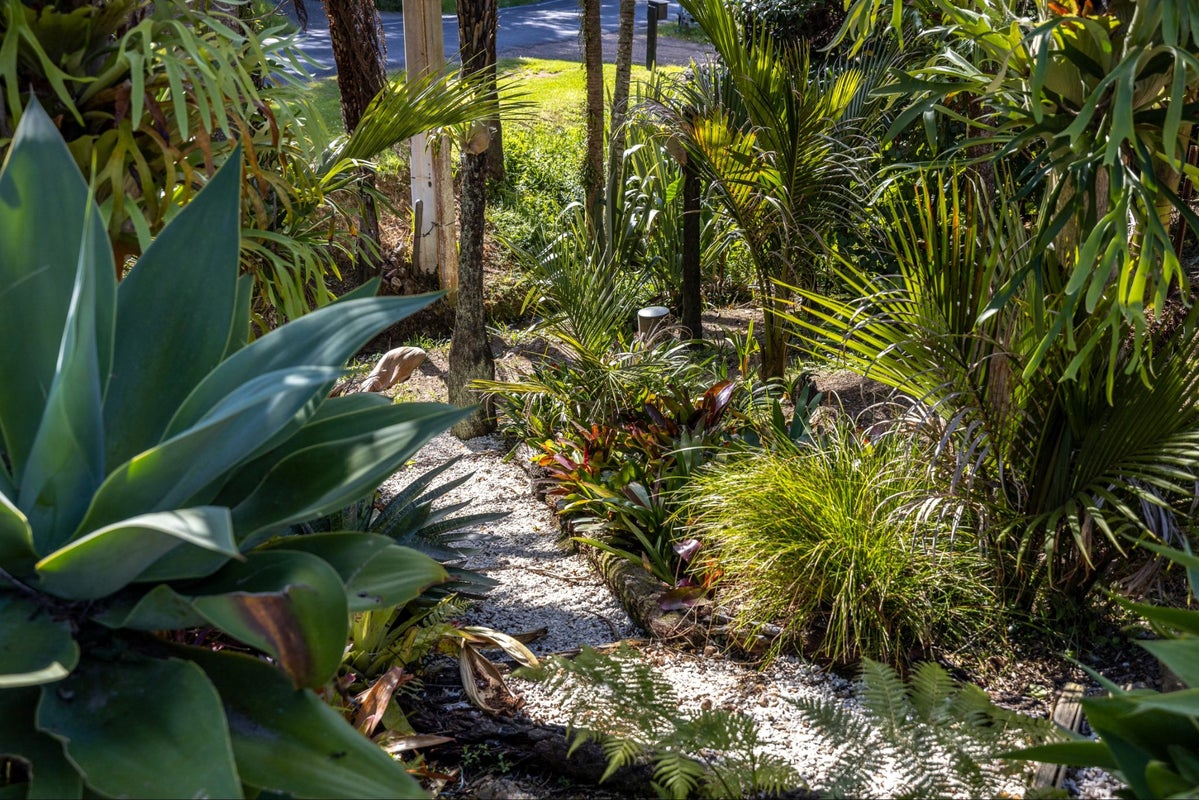 109 Queens Drive, Oneroa, Waiheke Island - Carousel 23