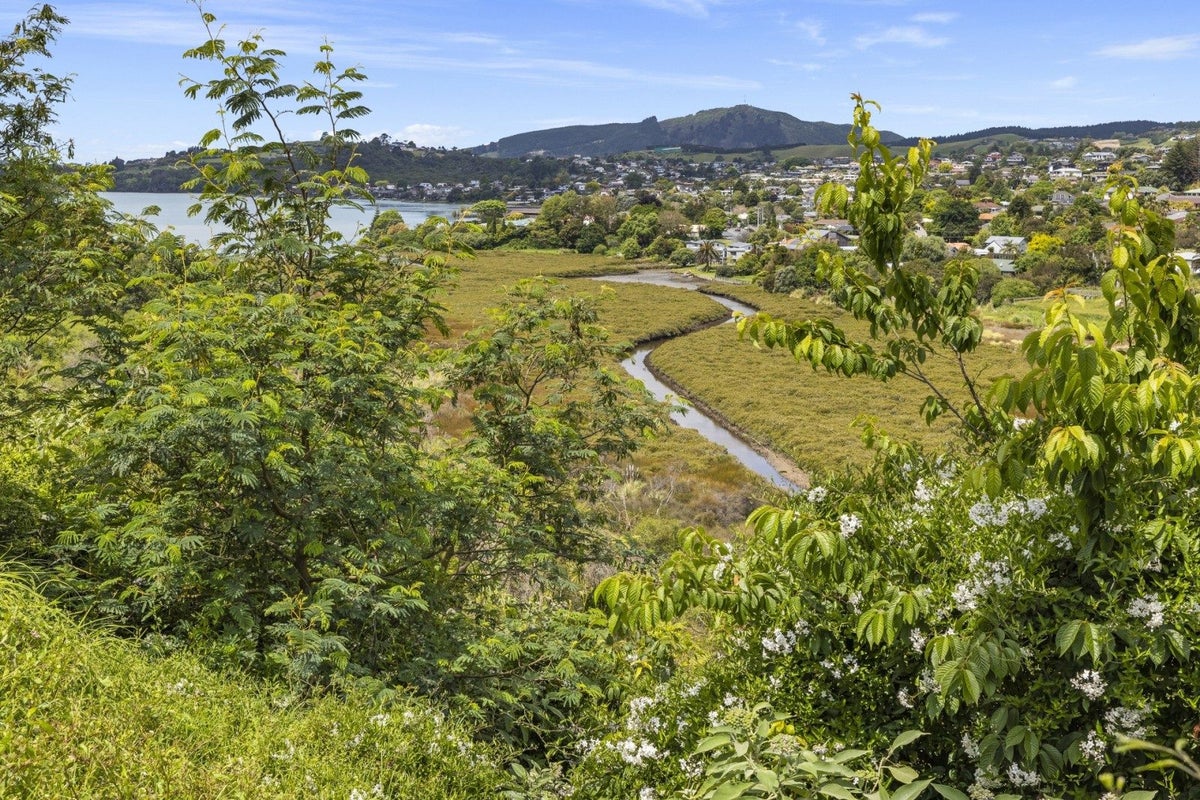 72 Hammond Street, Hairini, Tauranga - Carousel 15
