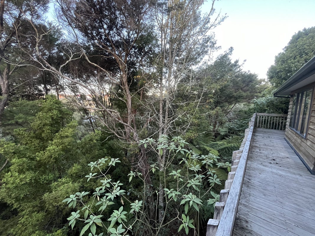 19 Springwater Vale, Unsworth Heights, Auckland - Carousel 17