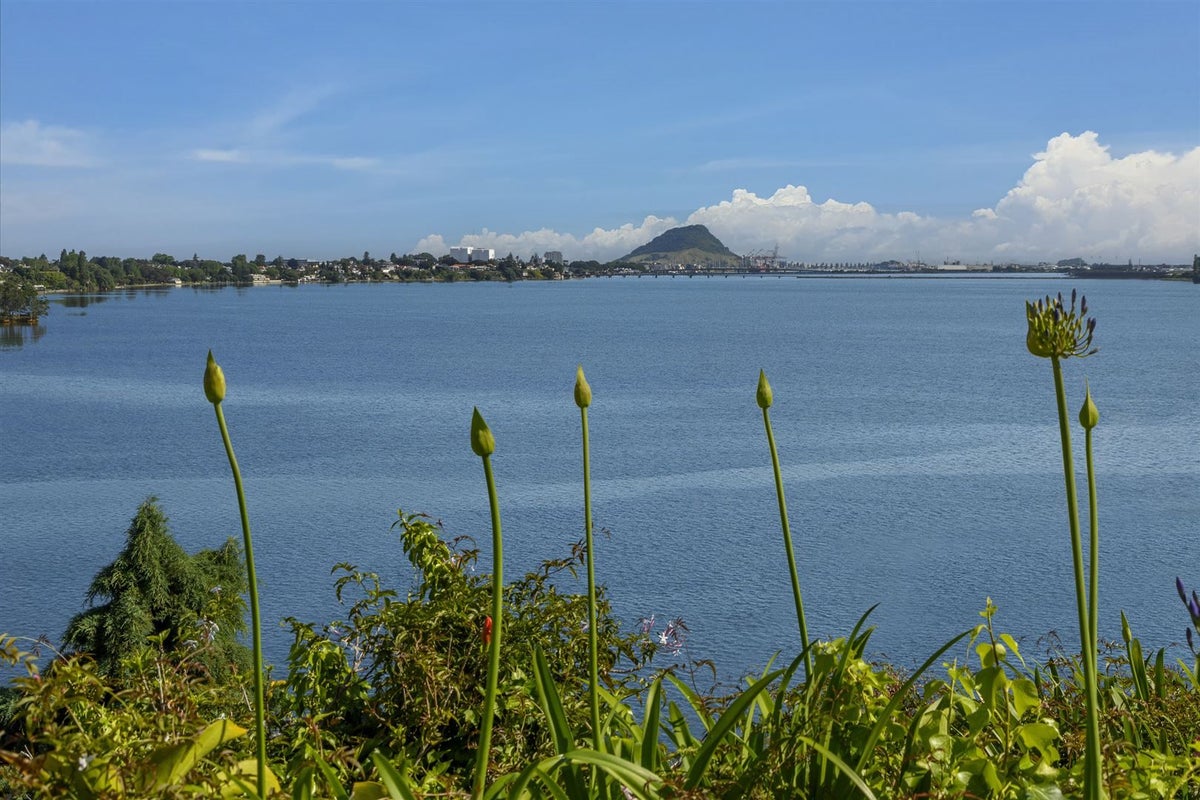 43 Vine Avenue, Maungatapu, Tauranga - Carousel 2