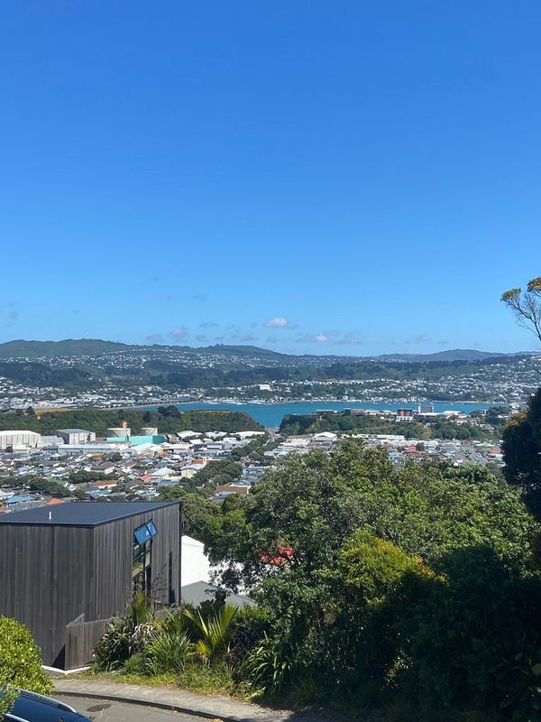 83 Seatoun Heights Road, Seatoun, Wellington - Carousel 11