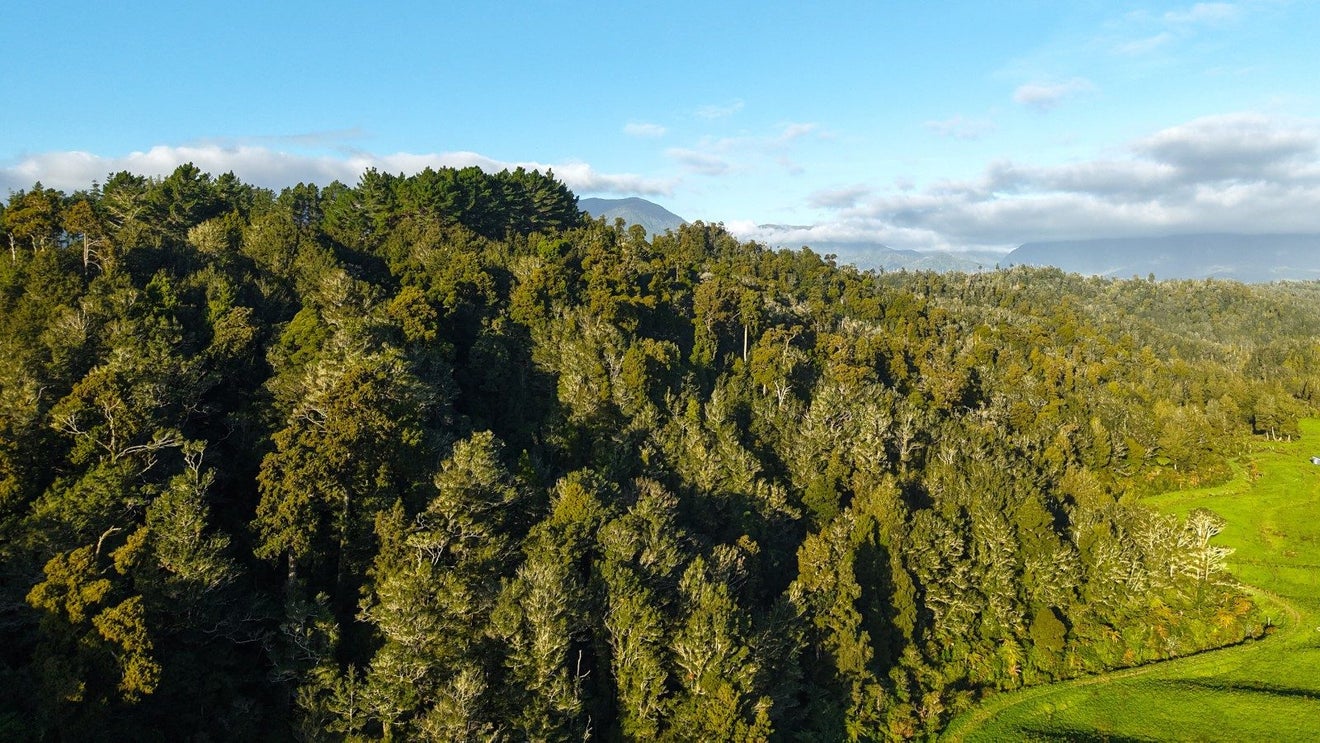 0 Granite Creek Road, Karamea, Karamea - Carousel 1