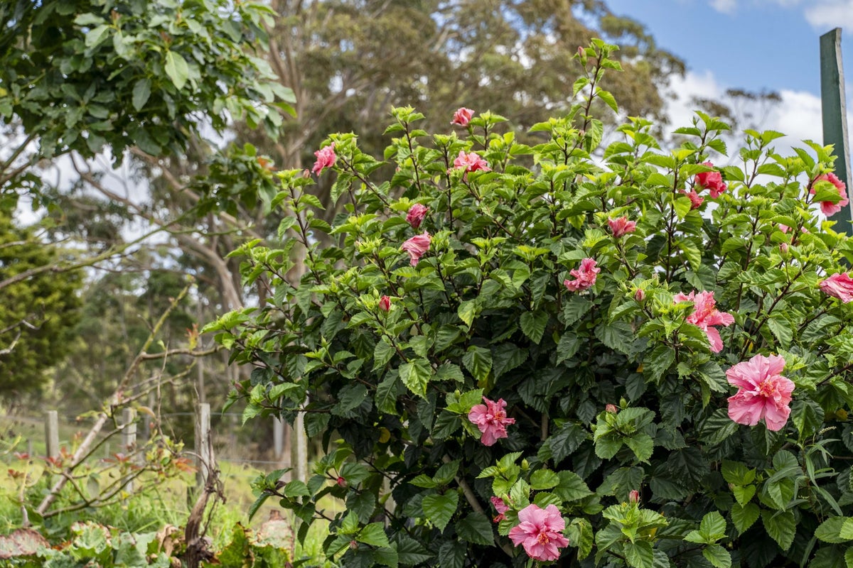 135 Central Road, Mareretu, Maungaturoto - Carousel 48