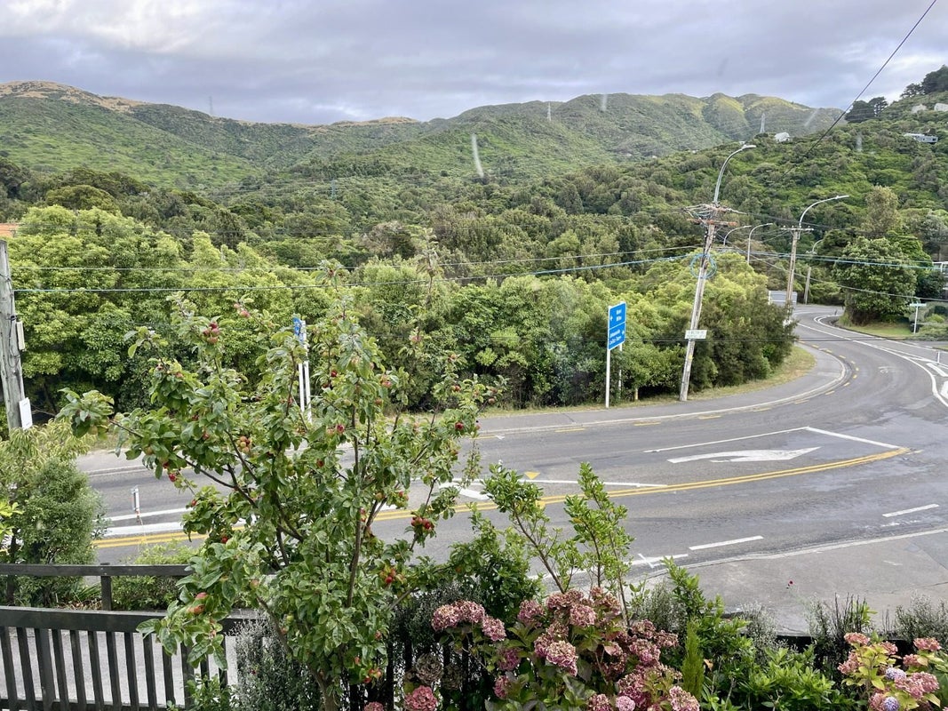 97 Wilton Road, Wilton, Wellington - Carousel 17