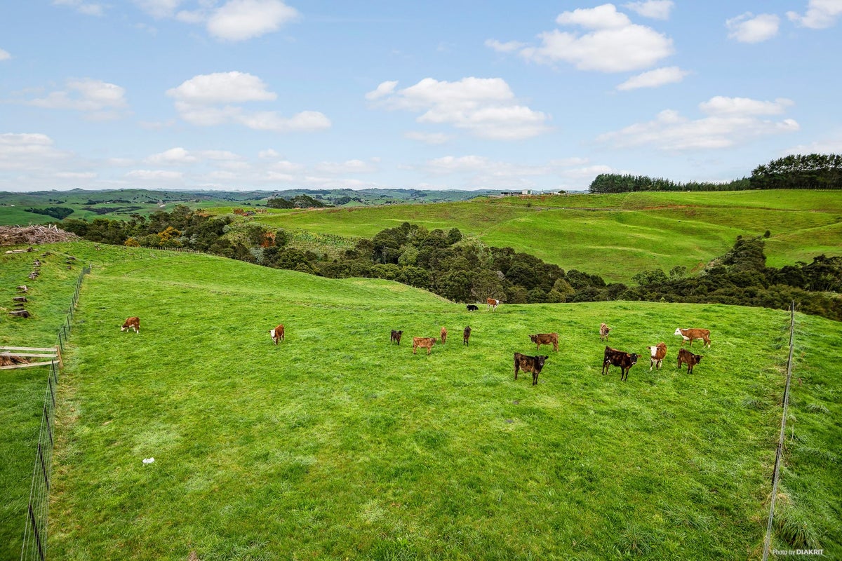 386C Kauri Road, Tuakau - Carousel 1