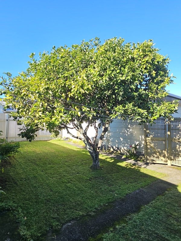 38A MacLean Street, Wallaceville, Upper Hutt - Carousel 11