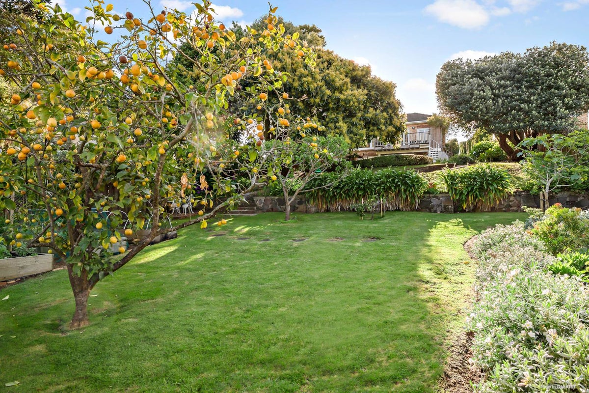 224 St Andrews Road, Epsom, Auckland - Carousel 2