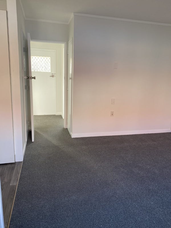 310 Ulster Street, Whitiora, Hamilton - Carousel 2