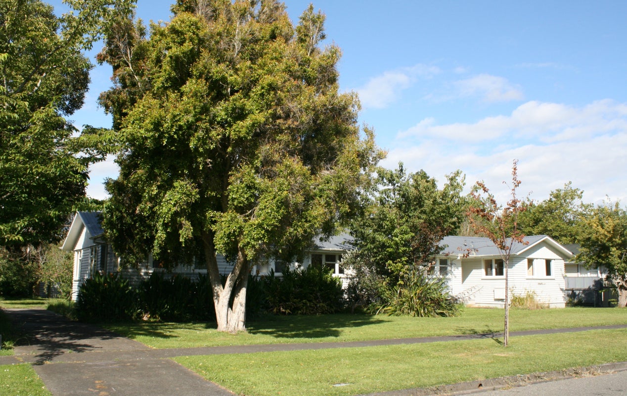 46 Mitchell Street, Aramoho, Whanganui - Carousel 2