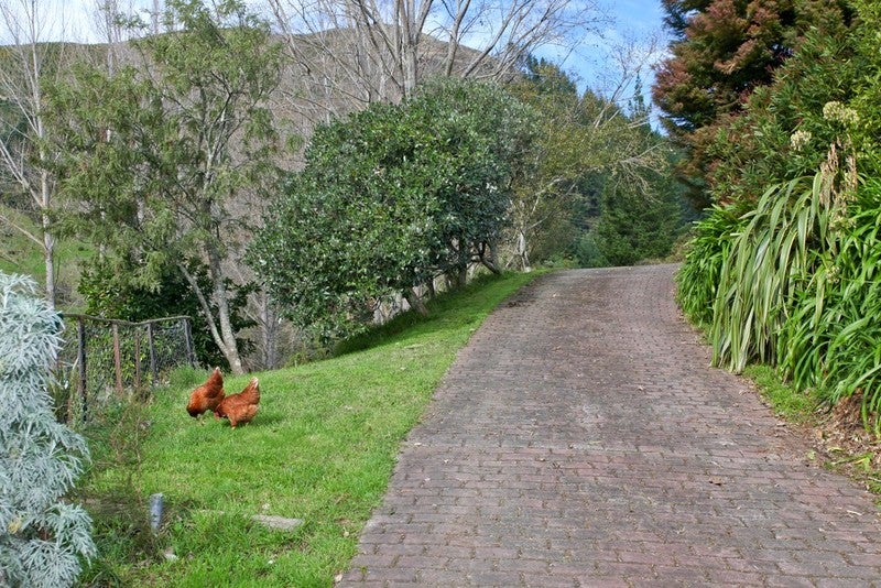 225 Brook Street, The Brook, Nelson - Carousel 20