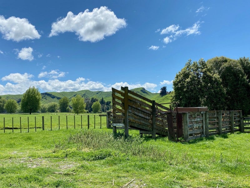 7988 State Highway 1, Taihape - Carousel 16