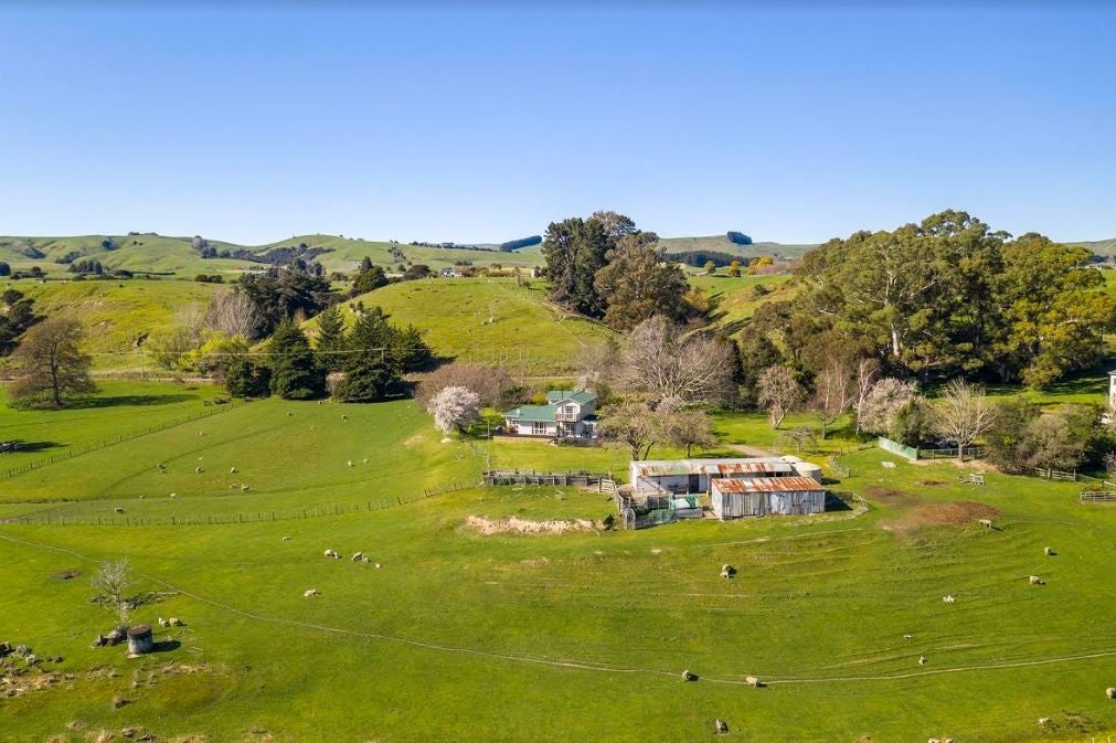 0 Ahiaruhe Rd, Ahiaruhe, Carterton - Carousel 22