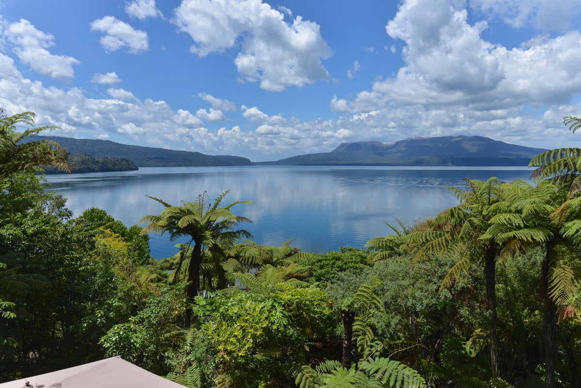 254 Spencer Road, Lake Tarawera, Rotorua - Carousel 2