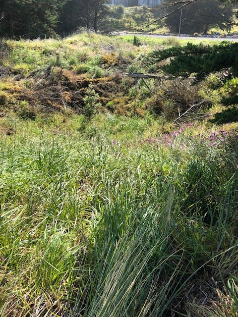 2/8 Via Aroha, Waitarere beach - Carousel 2