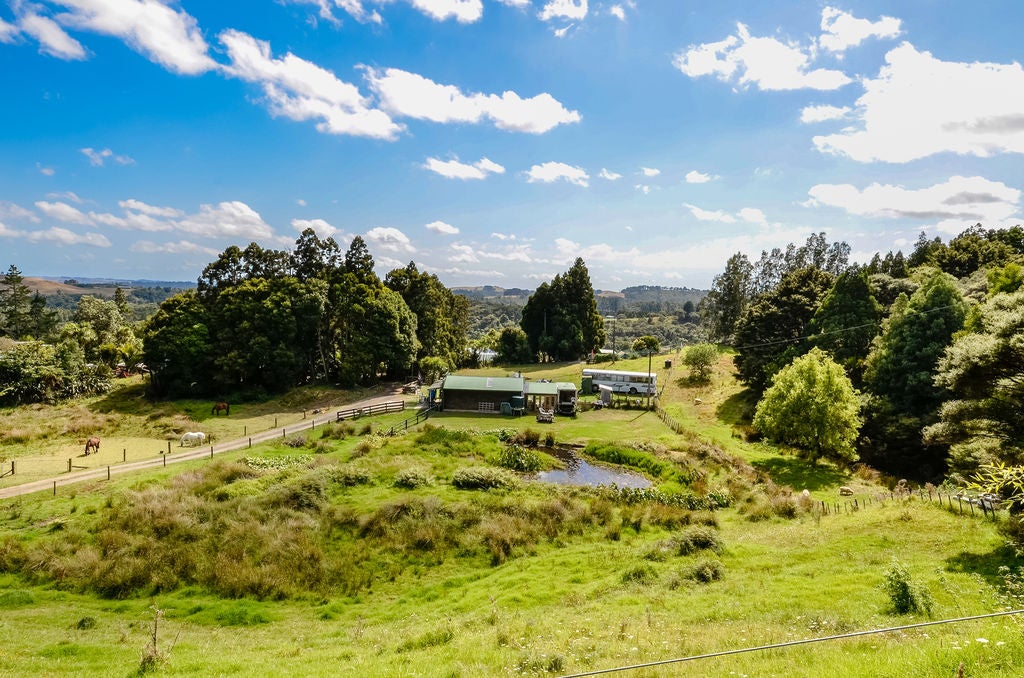 136 Horsman Road, Henderson - Carousel 26