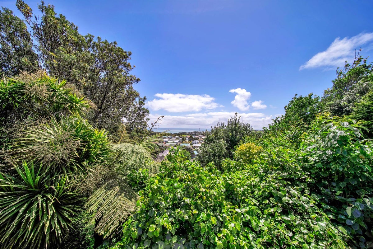 11 Crownhill Street, Spotswood, New Plymouth - Carousel 1