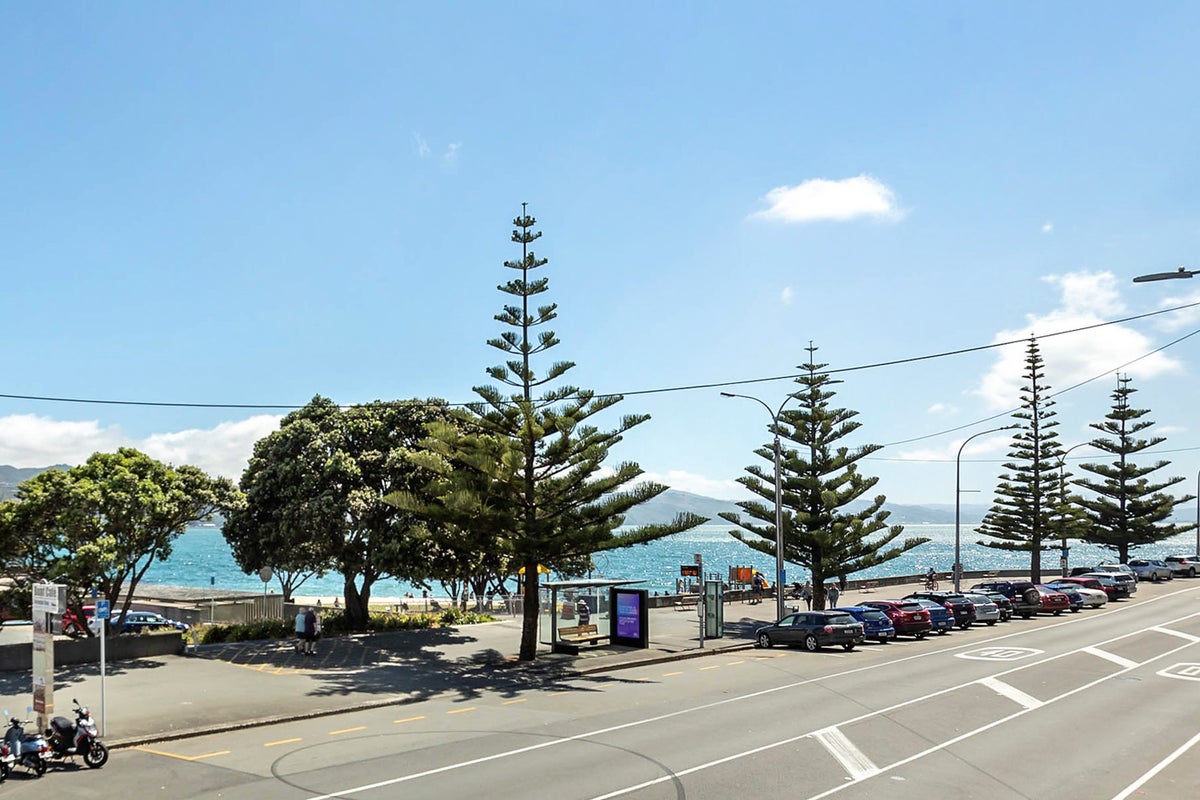 1W/150 Oriental Parade, Oriental Bay, Wellington - Carousel 2